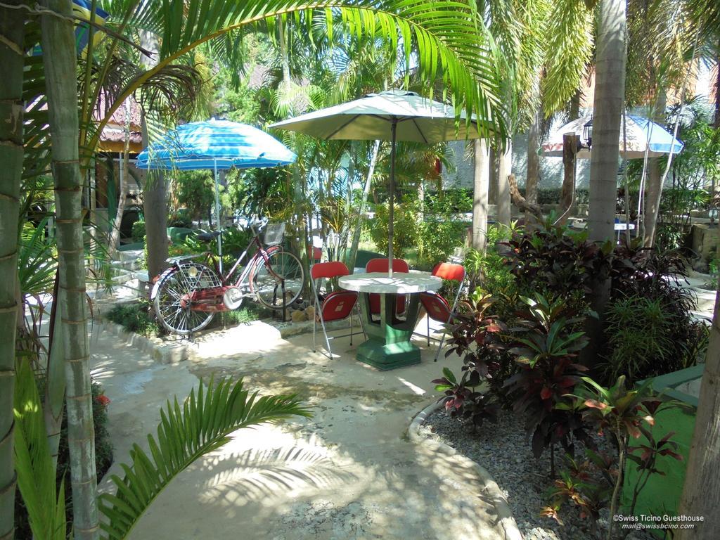 Swiss Ticino Guesthouse & Restaurant Mae Wang Exterior photo